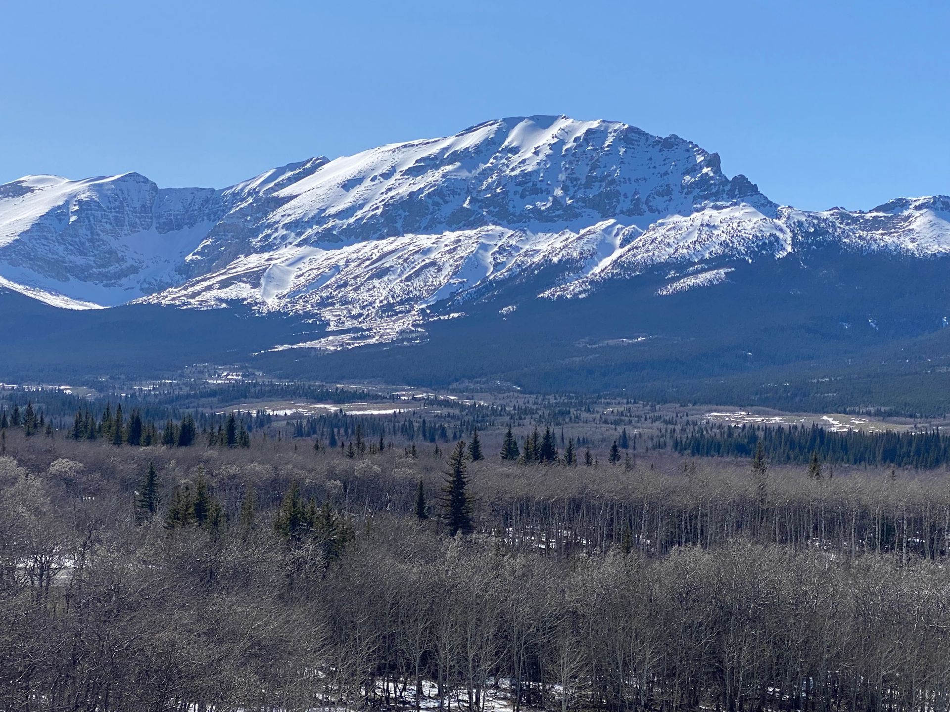 Snow-covered mountain range above a forested valley under a clear blue sky