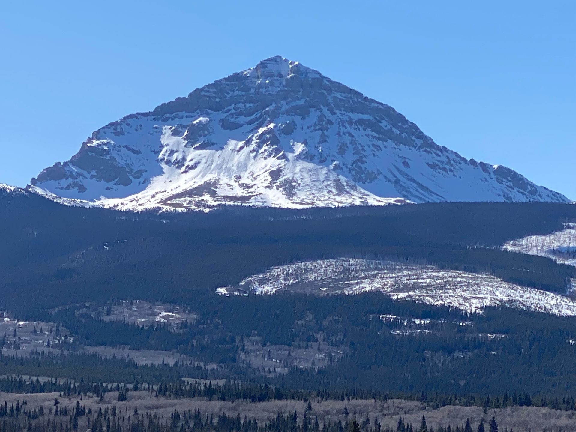 Snow-covered mountain peak under a clear blue sky, with dark forested slopes below