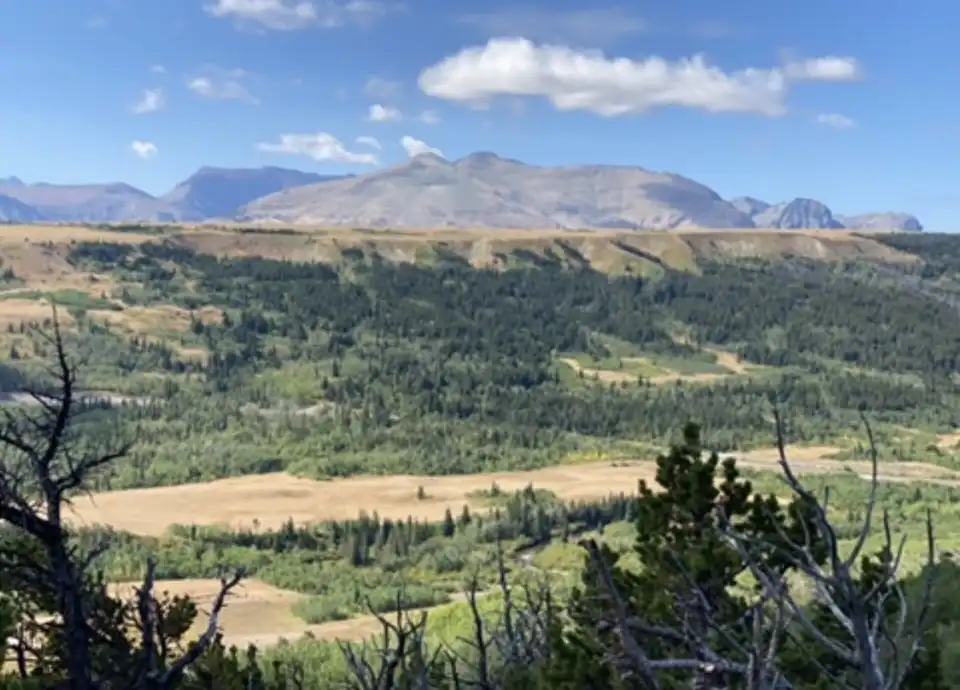 Mountain valley with green forest, golden fields, and blue mountains under a partly cloudy sky