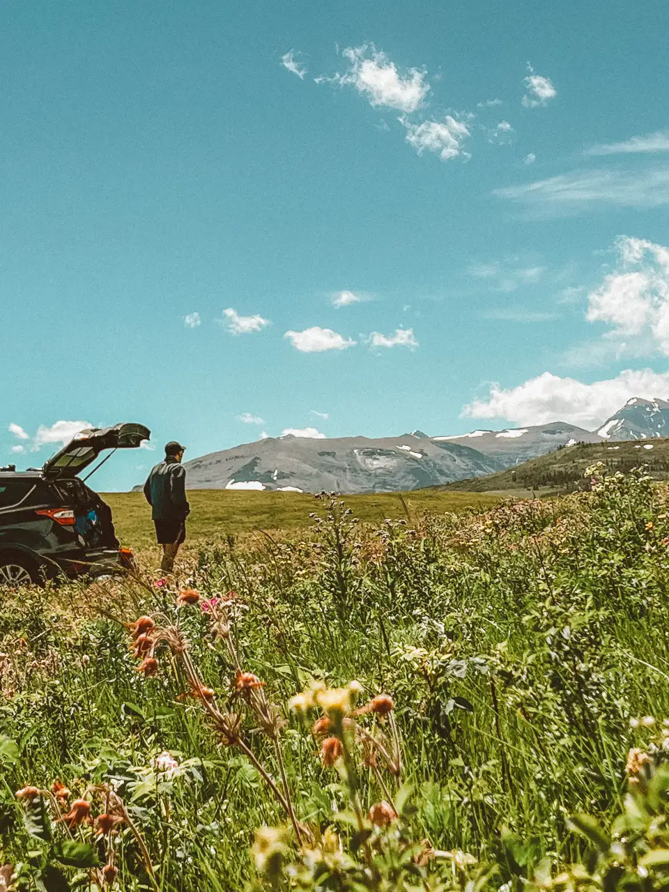 Person standing in a wildflower meadow beside an open car trunk, with mountains and blue sky in the background