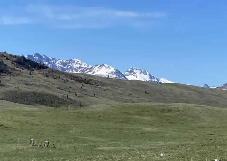 Grassy hillside beneath snow-capped mountains under a clear blue sky