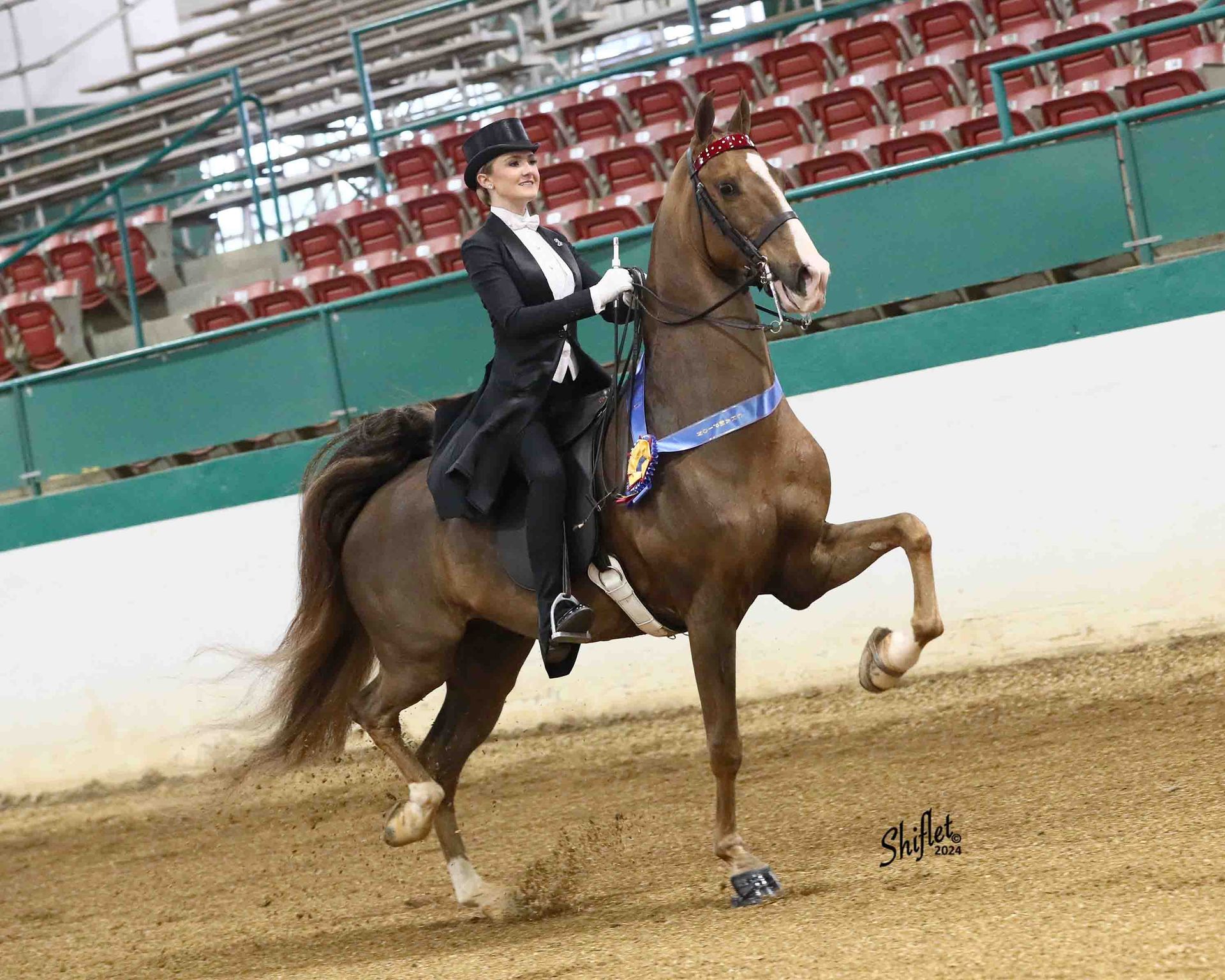 Horse Show Competitions • New England • Cater Stables