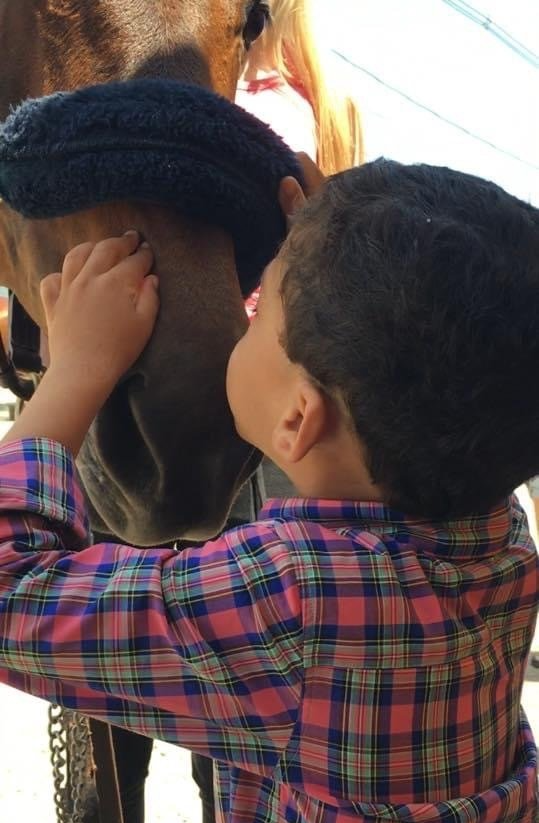 Learn to Ride Horses at Cater Stables • Manchester, NH