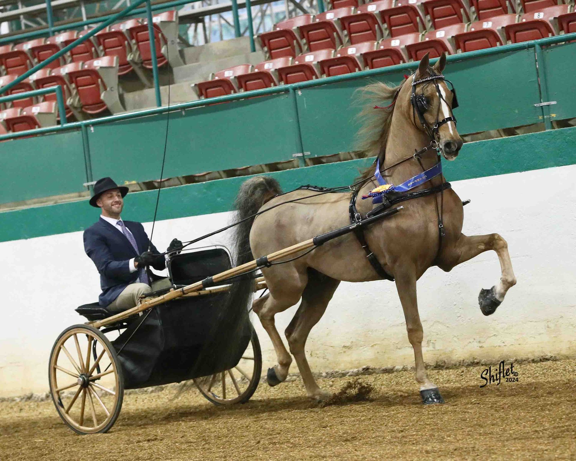 Horse Show Competitions • New England • Cater Stables
