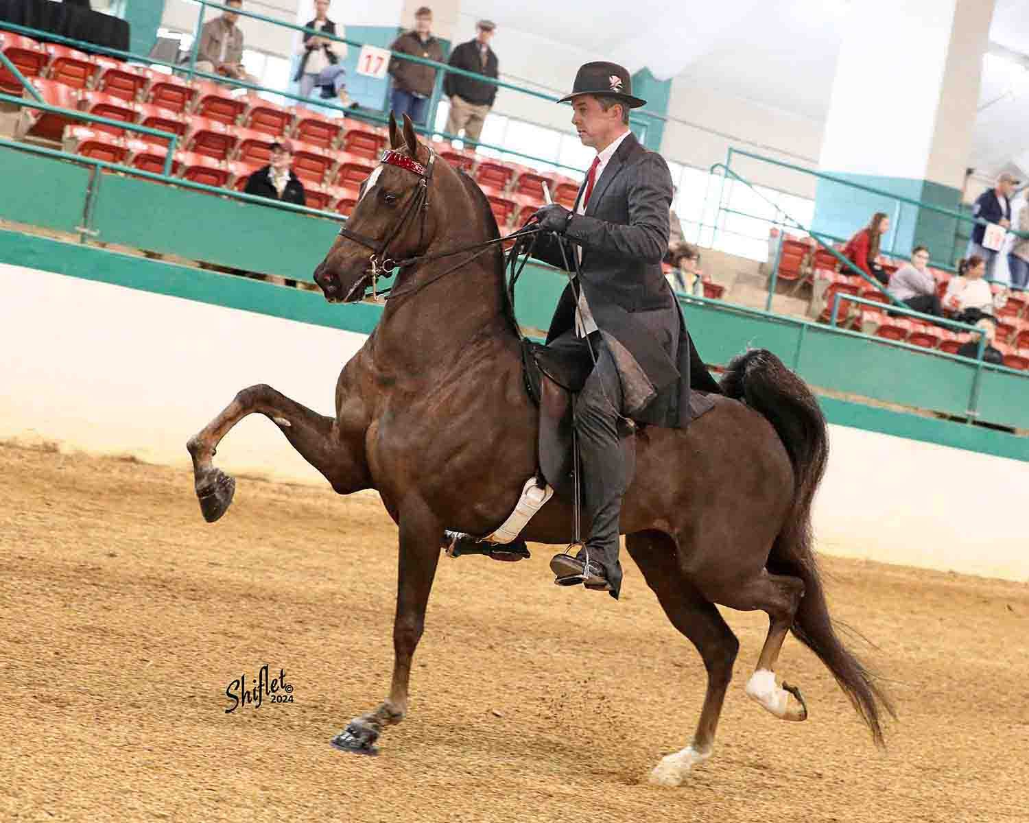 Horse Show Competitions • New England • Cater Stables