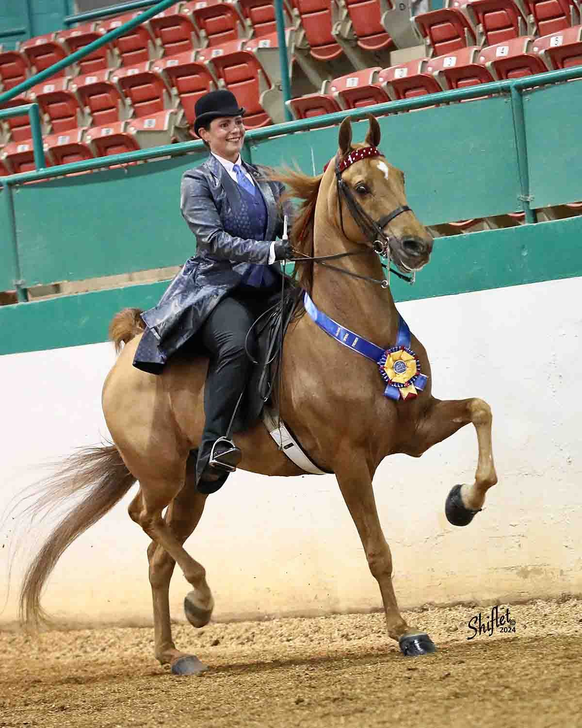 Horse Show Competitions • New England • Cater Stables