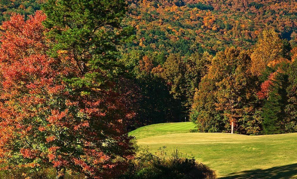 golf fairway and green