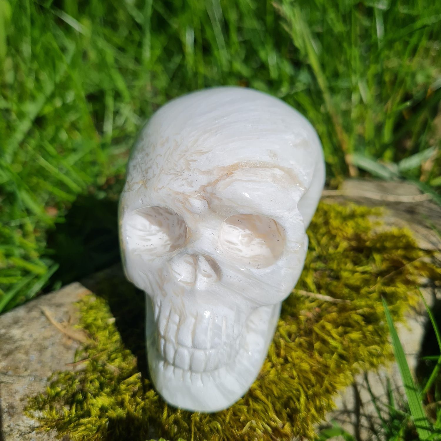 Rare crystal skull shop crystals Rare crystal skull shop crystals