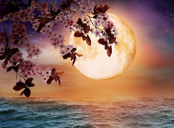 Healing Layers of Emotional Self Healing Layers of Emotional Self