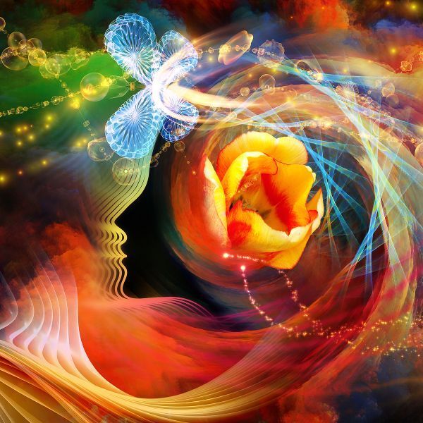 Ascensions Workshops