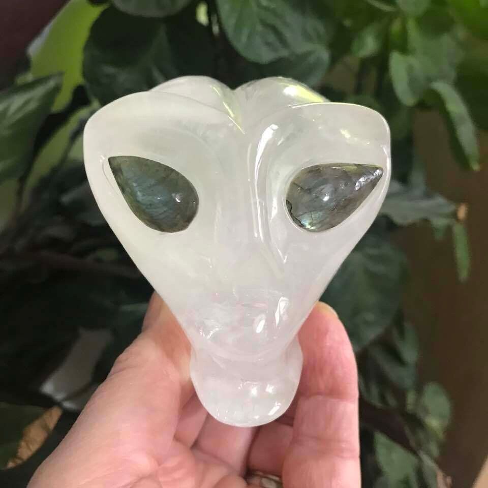 Star Being Skulls Star Being Skulls