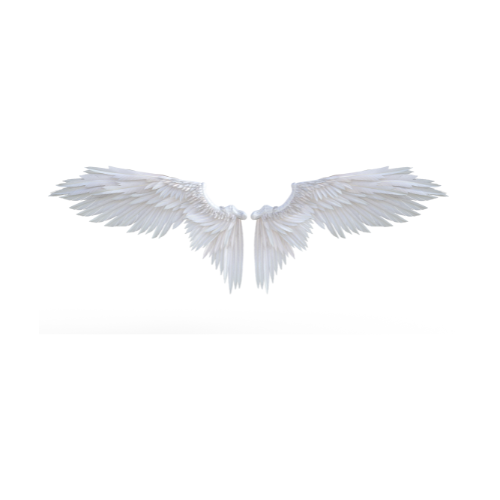 Angel Wings Angel Wings