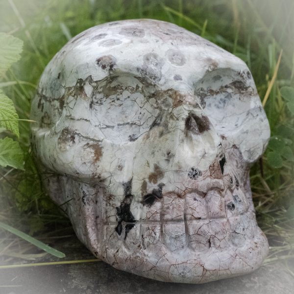 Connecting to Crystal Skulls Connecting to Crystal Skulls