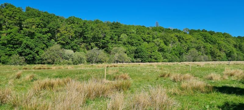 Dalriada Glen