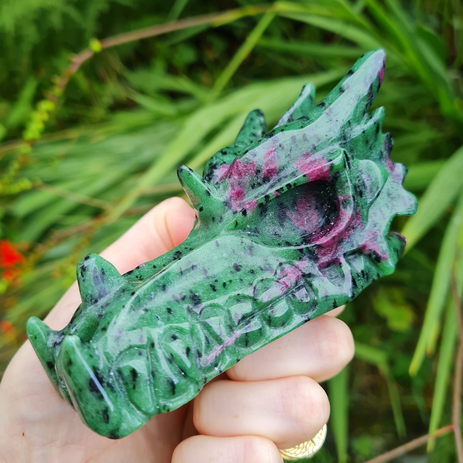 Dragon Skulls Shop Dragon Skulls