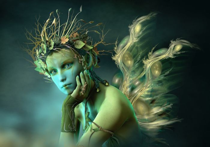 Recorded Fairies Courses Shop Recorded Fairies Courses Shop