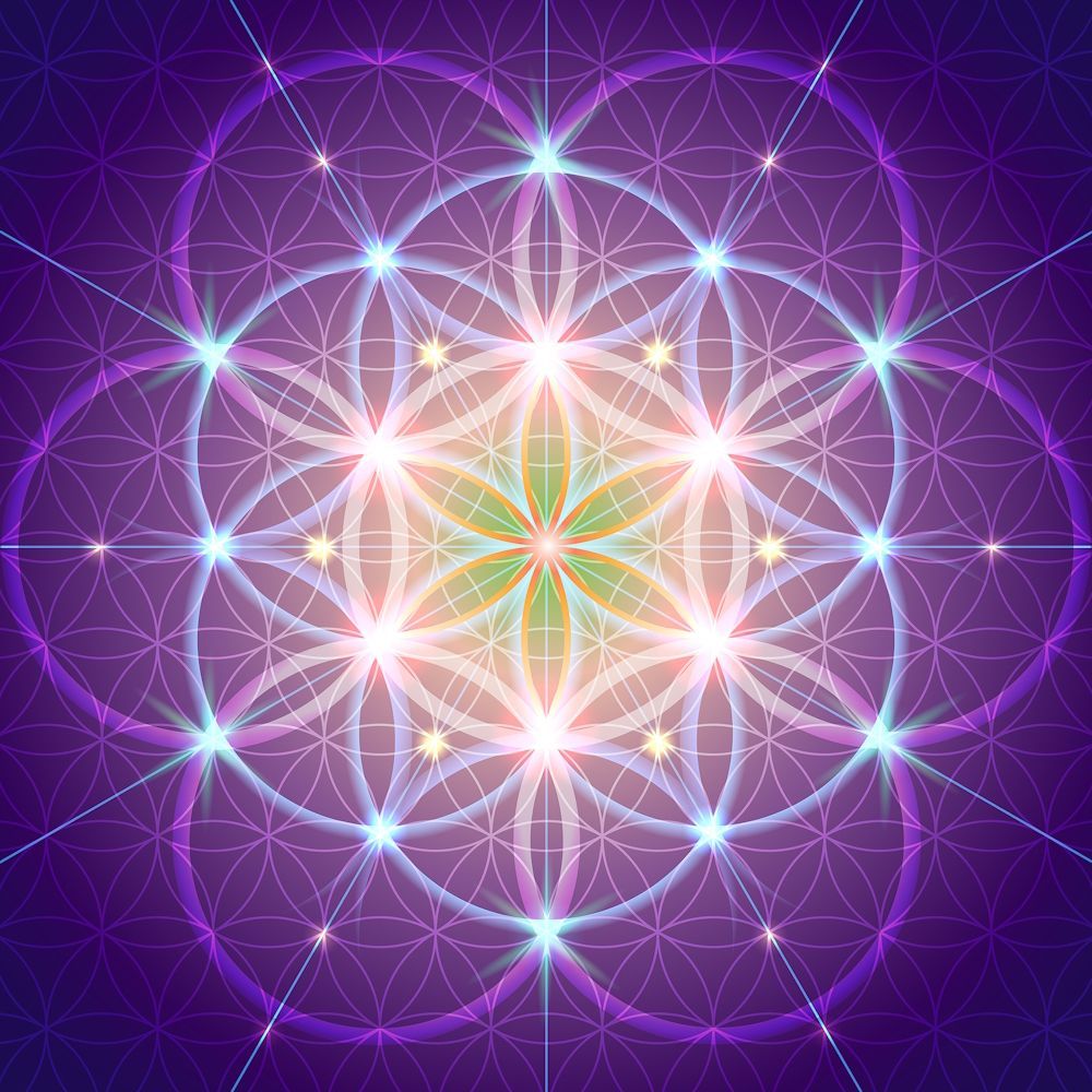 Flower of Life Flower of Life