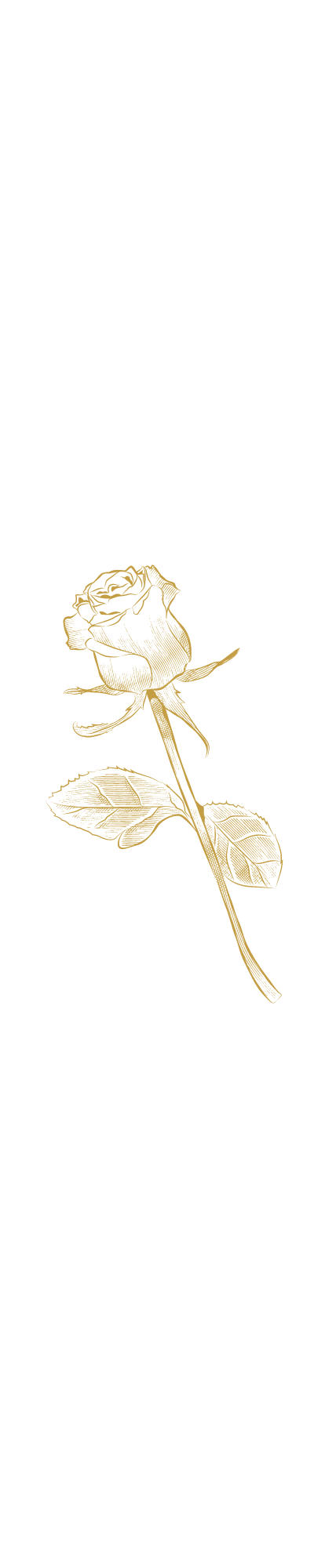 Gold Rose
