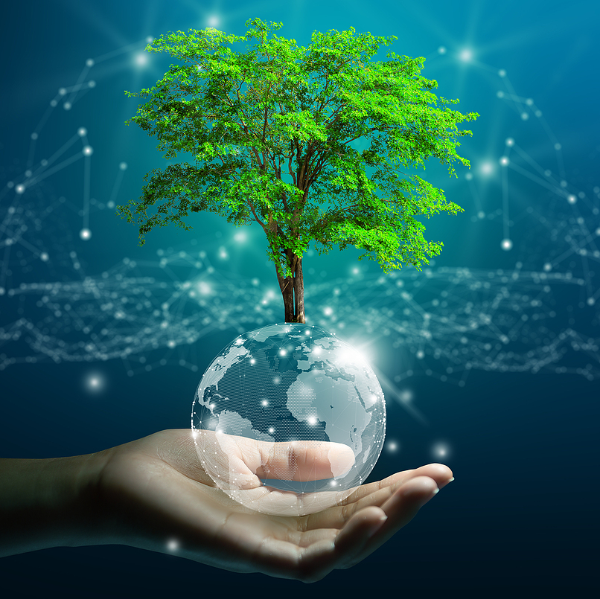 Earth Healing Earth Healing