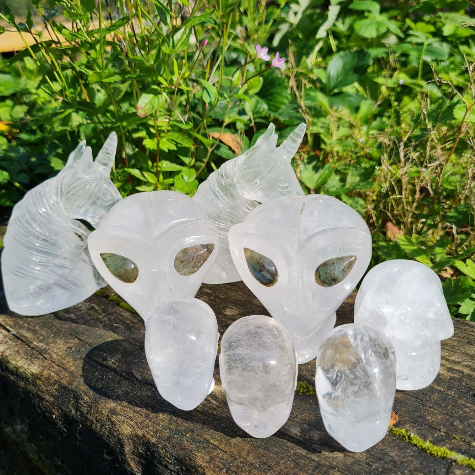 Online Shop Clear Quartz Crystal Skulls Online Shop Clear Quartz Crystal Skulls
