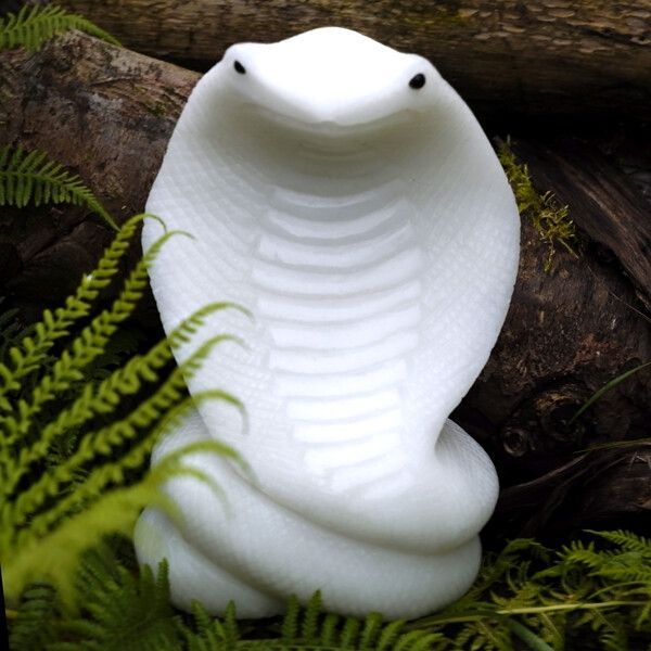 Shop Cobra Skulls