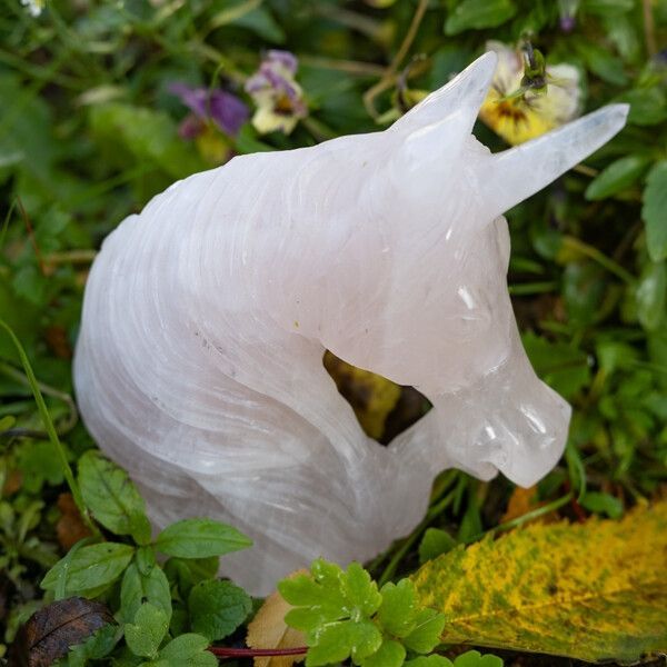 Kleana, rose quartz unicorn crystal skull