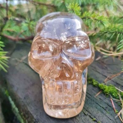 Healing Money Stress with Laressence
Crystal Skull