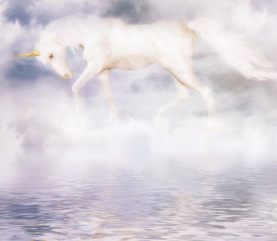 Lemurian Unicorn Lemurian Unicorn