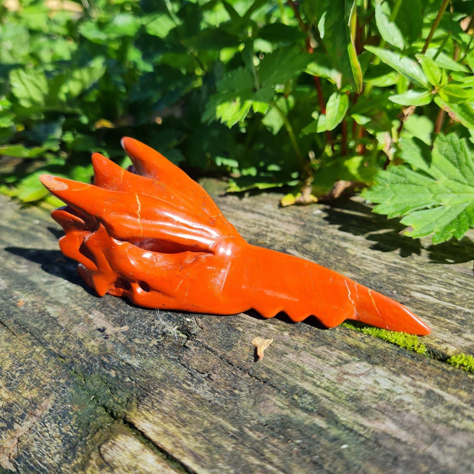 Phoenix Skull Phoenix Skull