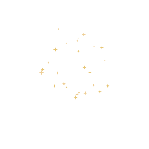My Shop Account Star Dust