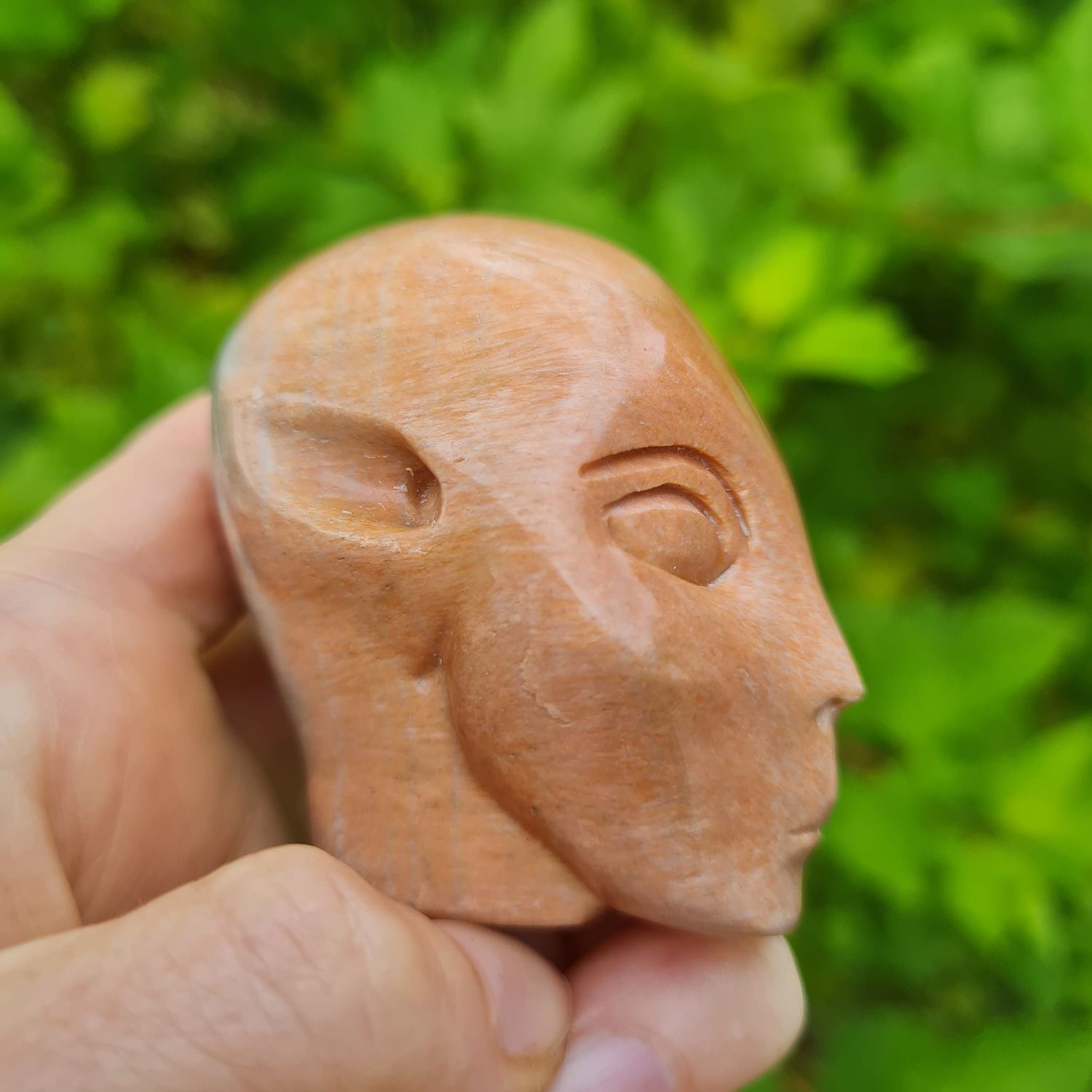 New crystal skull shop arrivals New crystal skull shop arrivals