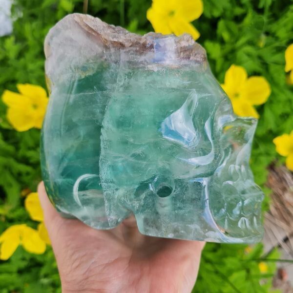 Crystal Skull Shop Crystal Skull Shop