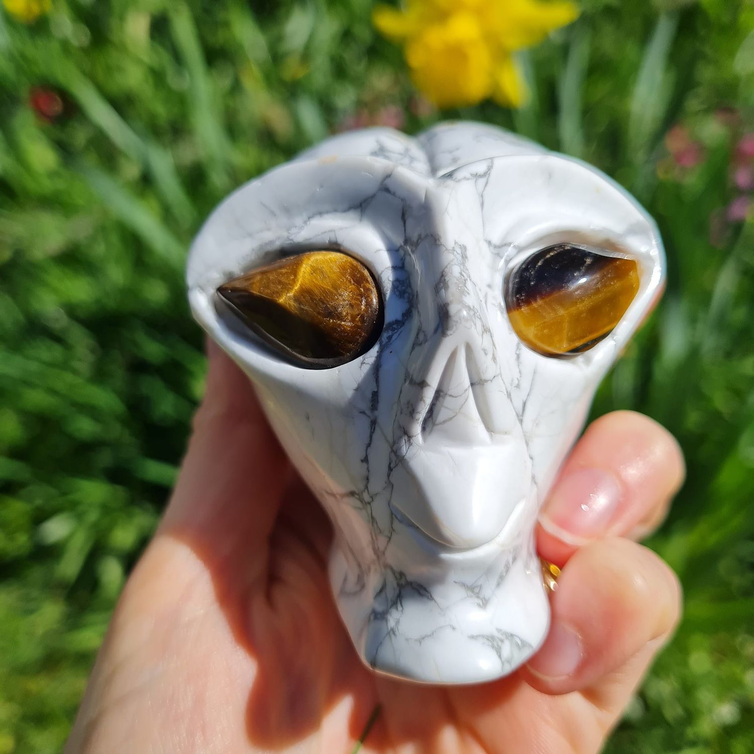 Star Being Skulls Shop Star Being Skulls