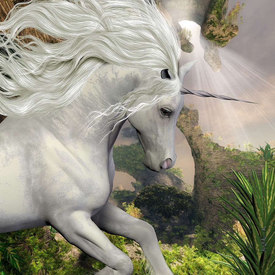 Unicorn Forecast Unicorn Year Ahead Channeled Forecast