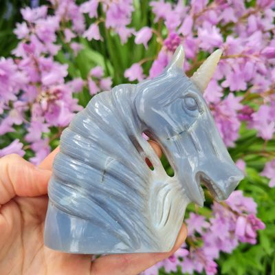 Unicorn Skulls Shop Unicorn Skulls