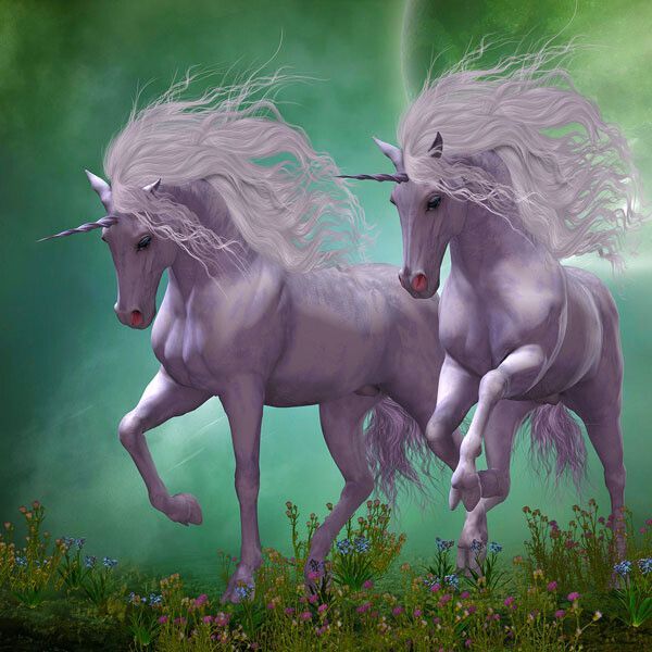Unicorn Courses Unicorn Courses