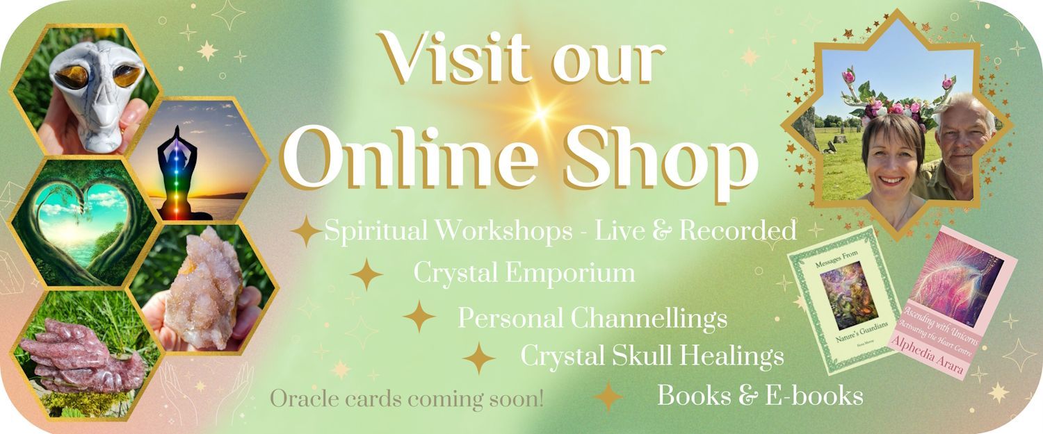 Online Shop Online Shop