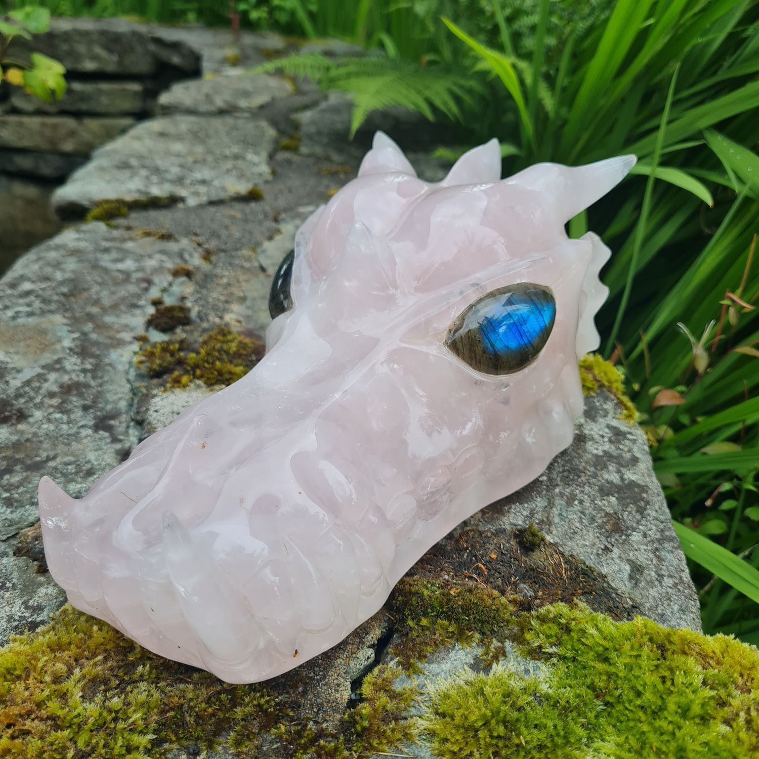 Dragon Skull Workshop 50% Disount