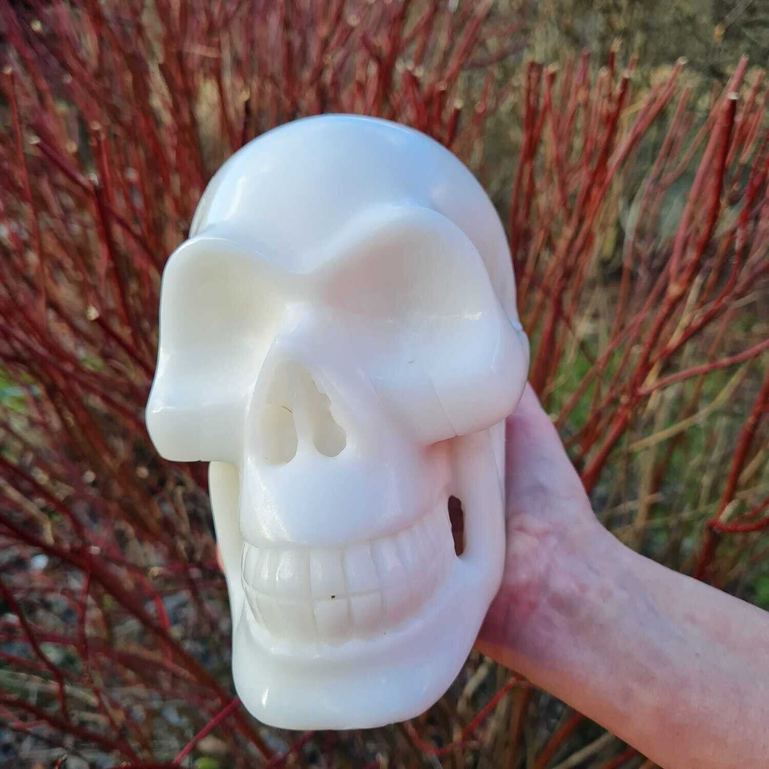 Online Shop Crystal Skulls Online Shop Crystal Skulls