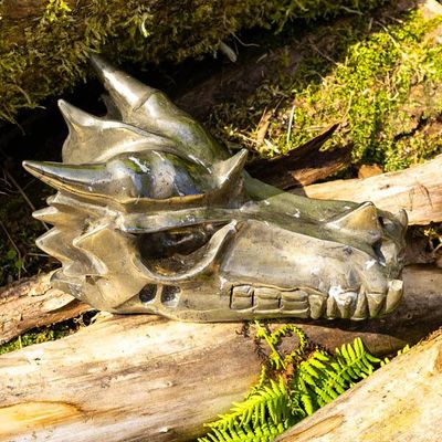 Iron Pyrite Dragon Skull, Remote energy healing Empowering Masculine Self Crystals skull healing