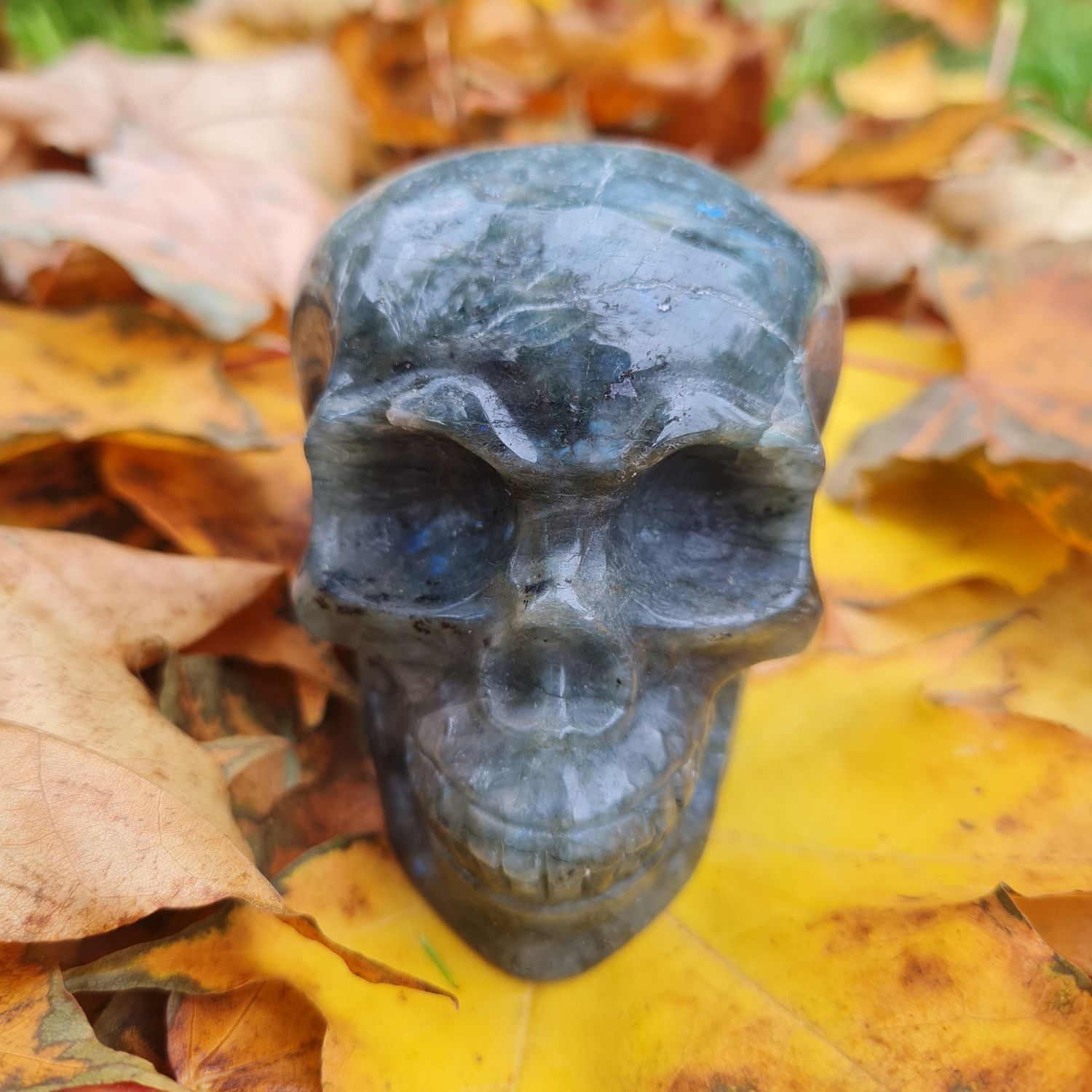 Crystal Skulls Crystal Skulls