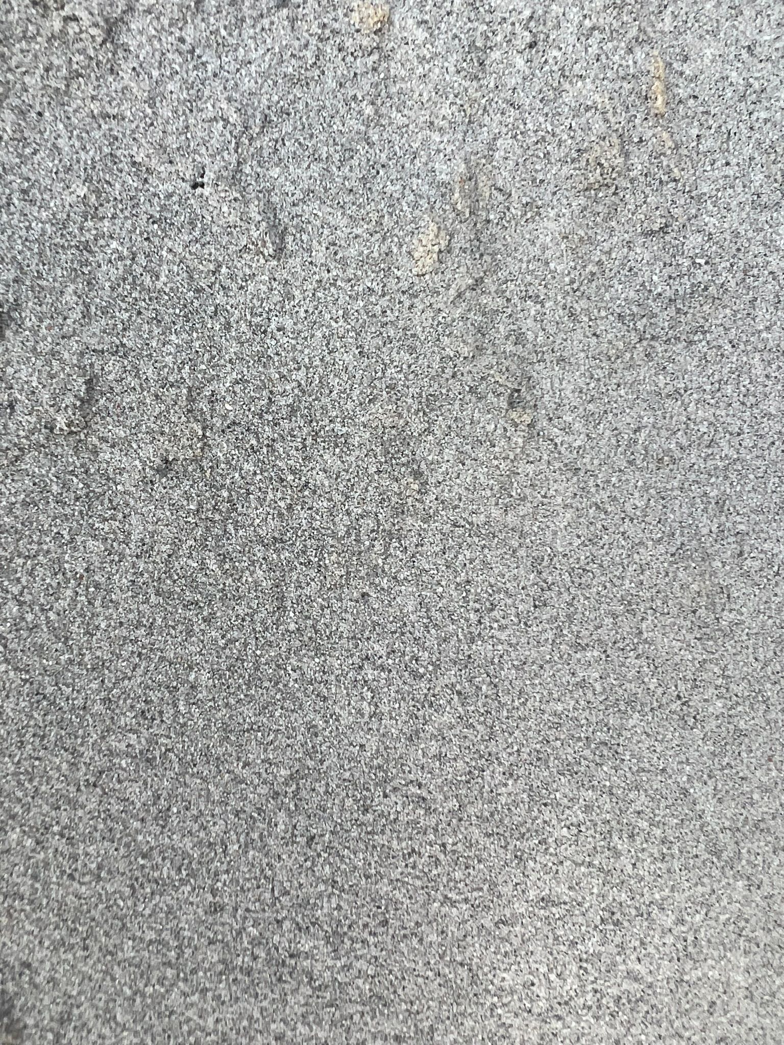 Concrete Sand- Landscaping Supplies in Myocum, NSW