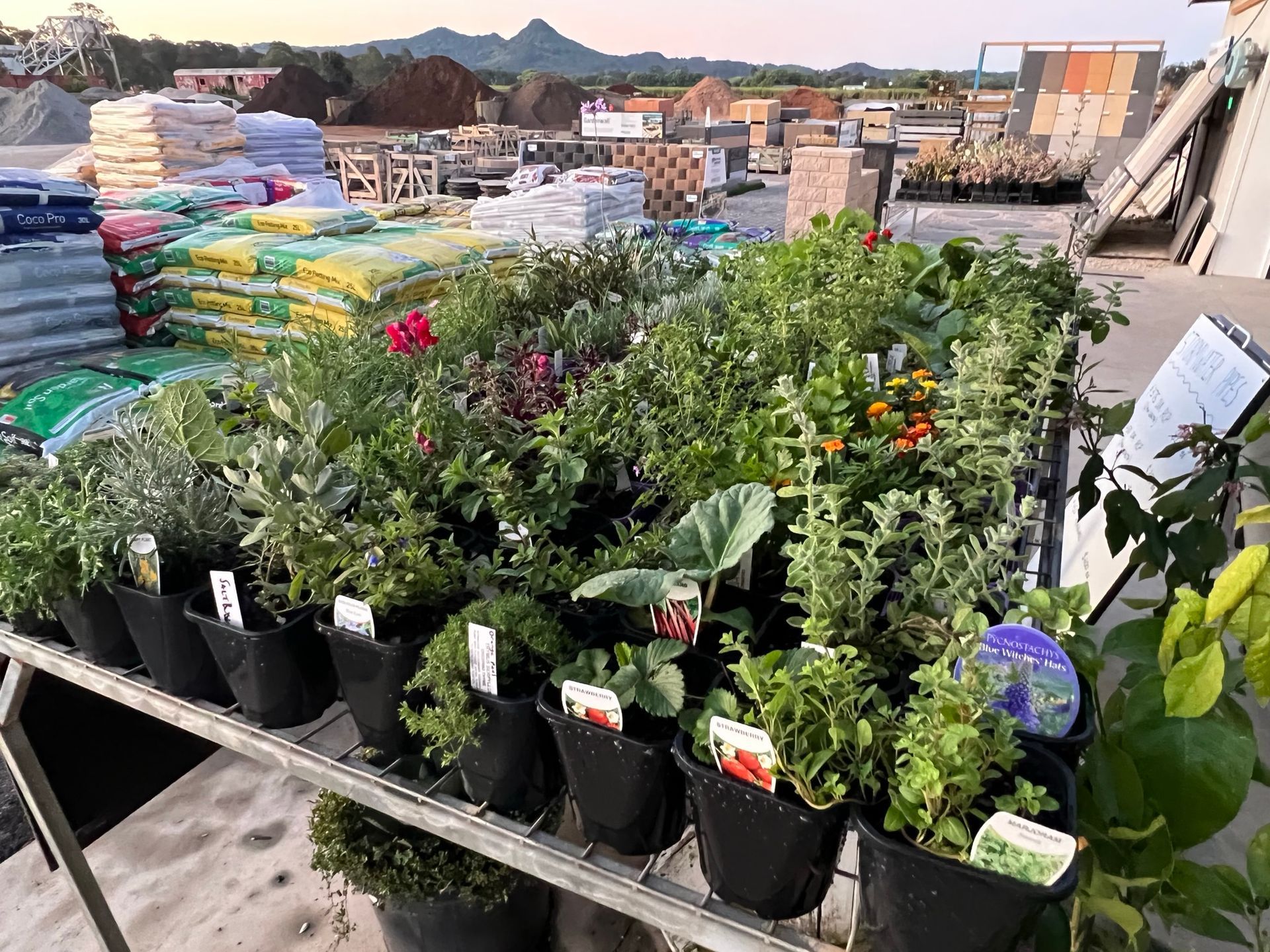 Herbs -Landscaping Supplies in Myocum, NSW