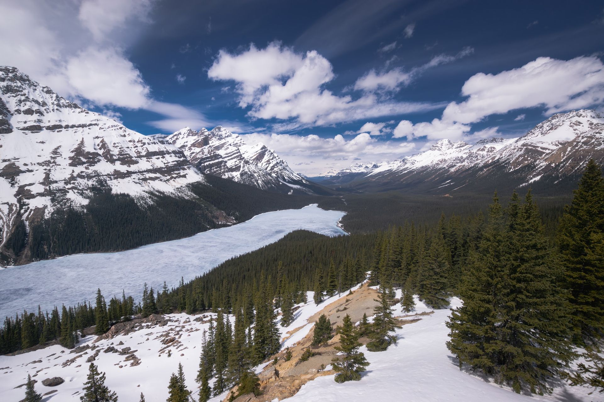 Banff National Park, Peyto Lake