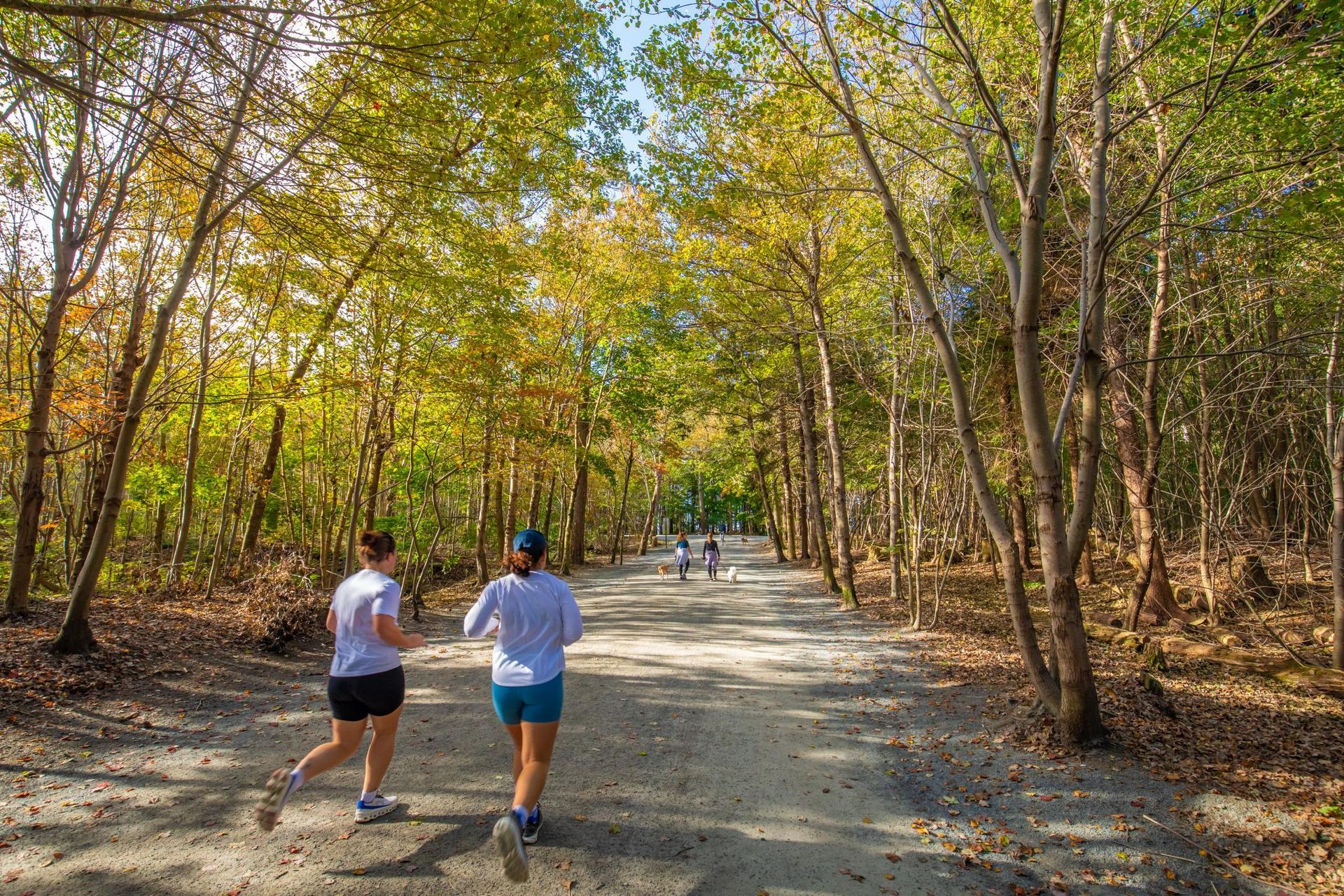 Enjoying the fall colours at Point Pleasant Park. Tourism Nova Scotia / Photographer: Acorn Art and Photography Enjoying the fall colours at Point Pleasant Park