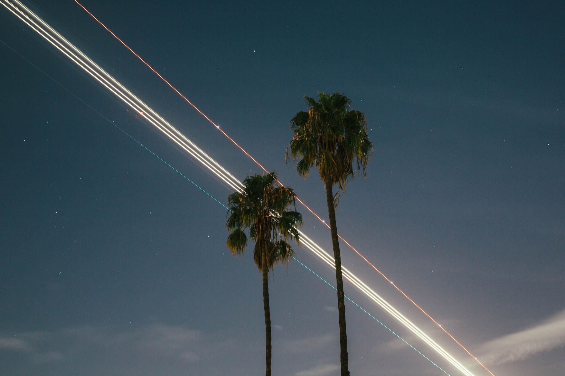 Palm Trees and Planes in Sky, LAX Airport