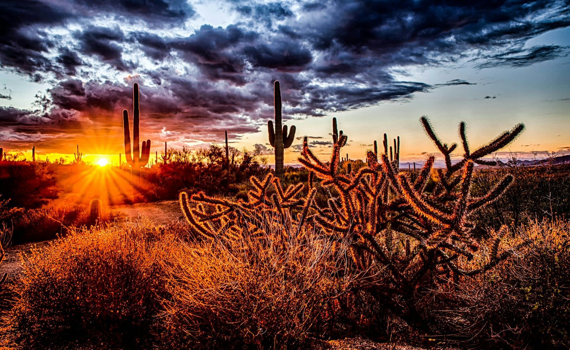 North Scottsdale Sunrise