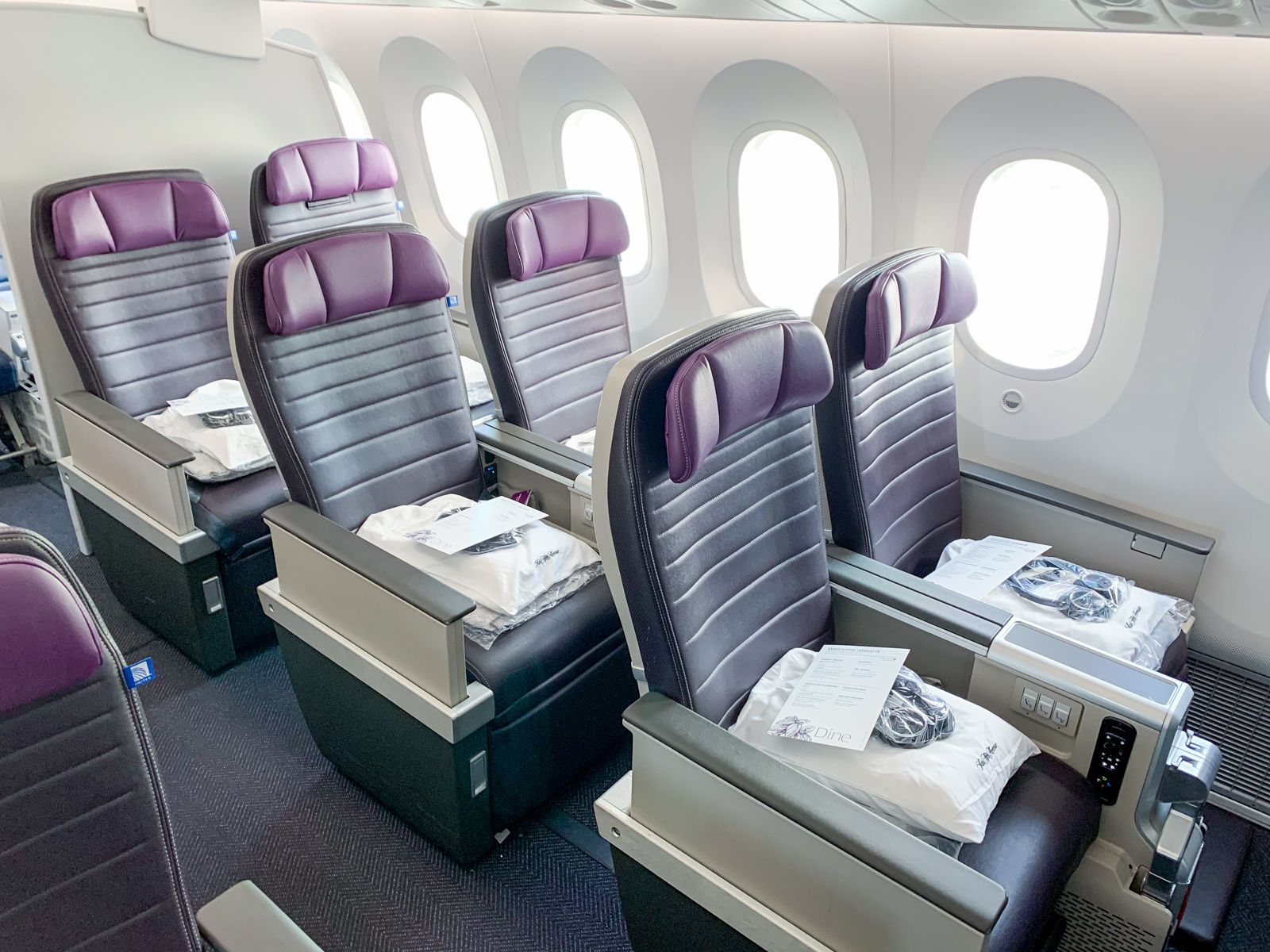 United Airlines, Premium Plus cabin