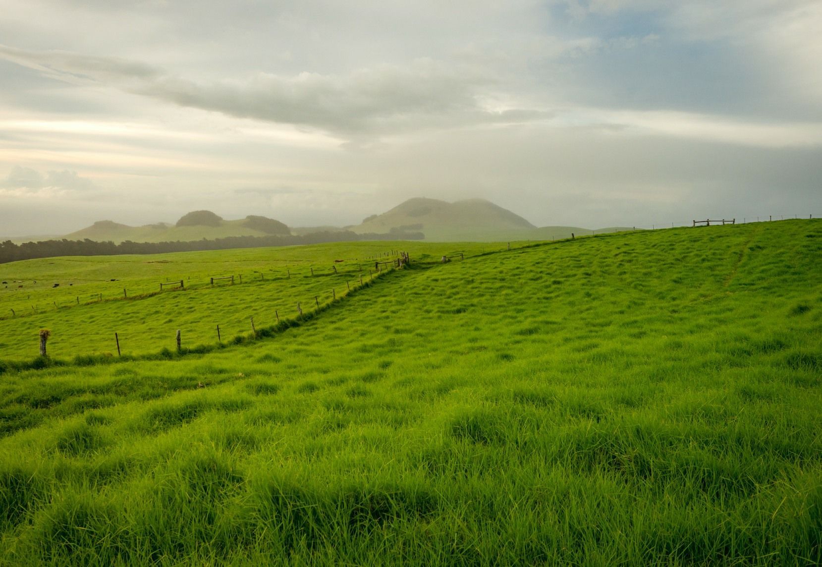 Kahua Ranch, Waimea, Hawaii