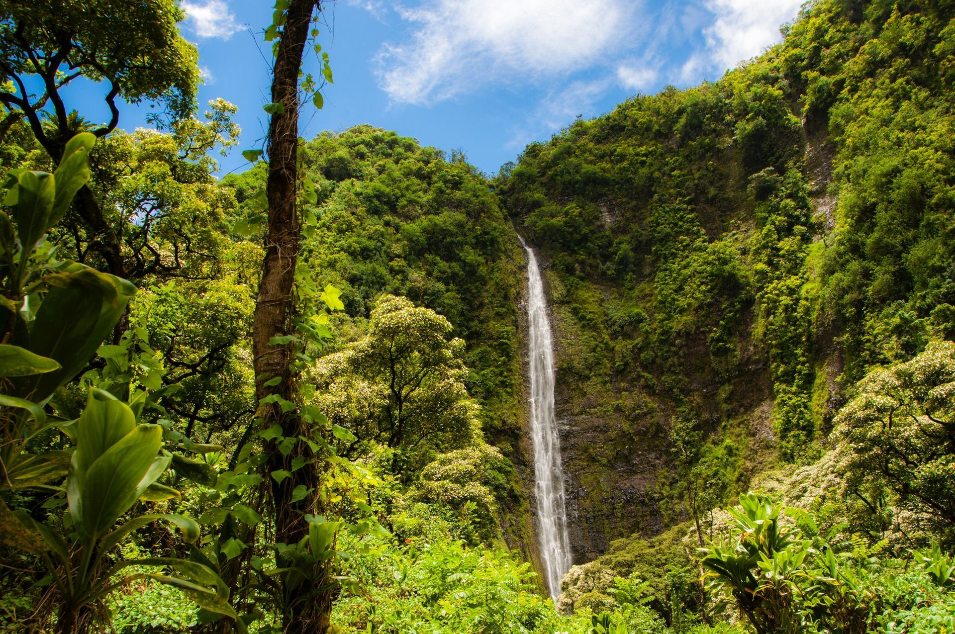 Waterfall, Maui, Hawaii